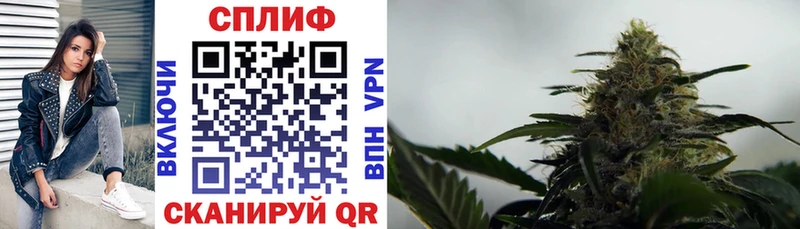 Конопля OG Kush  наркошоп  Дятьково 